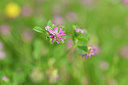 BUITEN BEELD Foto: 295627