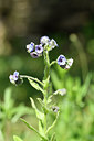 BUITEN BEELD Foto: 295634