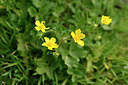 BUITEN BEELD Foto: 295635