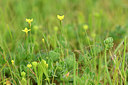 BUITEN BEELD Foto: 295638