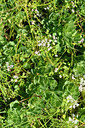 BUITEN BEELD Foto: 295642