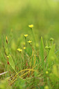 BUITEN BEELD Foto: 295643