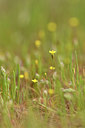 BUITEN BEELD Foto: 295651