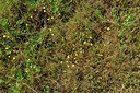 BUITEN BEELD Foto: 295656