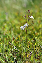 BUITEN BEELD Foto: 295657