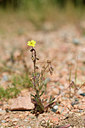 BUITEN BEELD Foto: 295661