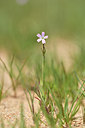 BUITEN BEELD Foto: 295664