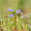 BUITEN BEELD Foto: 295669