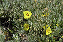 BUITEN BEELD Foto: 295672