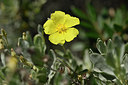 BUITEN BEELD Foto: 295674