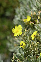 BUITEN BEELD Foto: 295675