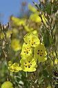 BUITEN BEELD Foto: 295676