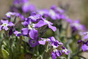 BUITEN BEELD Foto: 295678