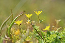 BUITEN BEELD Foto: 295680