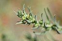 BUITEN BEELD Foto: 295693