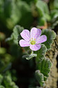 BUITEN BEELD Foto: 295700