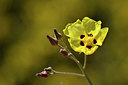 BUITEN BEELD Foto: 295713