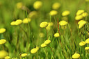 BUITEN BEELD Foto: 295716