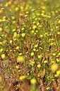 BUITEN BEELD Foto: 295718