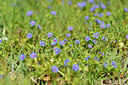 BUITEN BEELD Foto: 295719