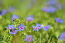 BUITEN BEELD Foto: 295720