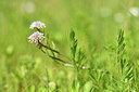 BUITEN BEELD Foto: 295726