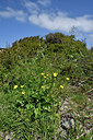 BUITEN BEELD Foto: 295734