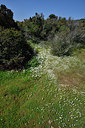 BUITEN BEELD Foto: 295735