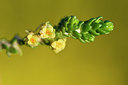 BUITEN BEELD Foto: 295781