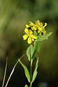 BUITEN BEELD Foto: 295784