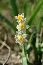 BUITEN BEELD Foto: 295800