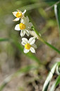 BUITEN BEELD Foto: 295802