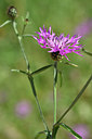 BUITEN BEELD Foto: 295809