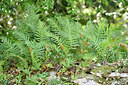 BUITEN BEELD Foto: 295833