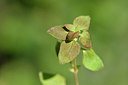 BUITEN BEELD Foto: 295834