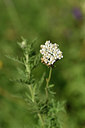 BUITEN BEELD Foto: 295838