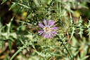 BUITEN BEELD Foto: 295840