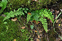 BUITEN BEELD Foto: 295843