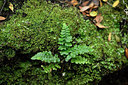 BUITEN BEELD Foto: 295845