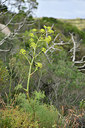 BUITEN BEELD Foto: 295846