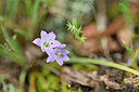 BUITEN BEELD Foto: 295848
