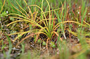 BUITEN BEELD Foto: 295860
