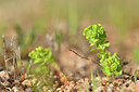 BUITEN BEELD Foto: 295863