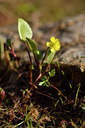 BUITEN BEELD Foto: 295864