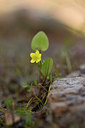 BUITEN BEELD Foto: 295865