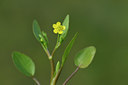 BUITEN BEELD Foto: 295868