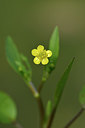 BUITEN BEELD Foto: 295869