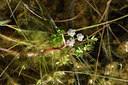 BUITEN BEELD Foto: 295872