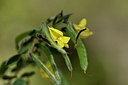 BUITEN BEELD Foto: 295881