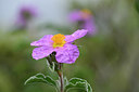 BUITEN BEELD Foto: 295888